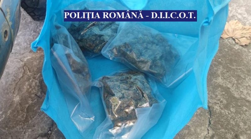 BCCO 28 iulie (3)
