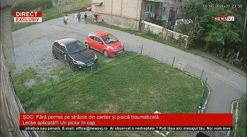Imagine Bitmap nouă