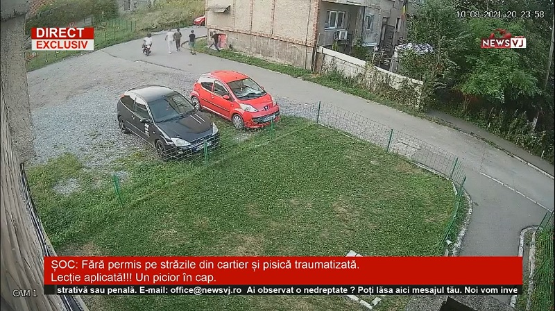 Imagine Bitmap nouă