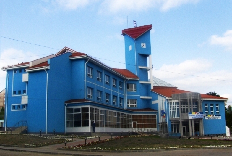 PRIMARIA MUNICIPIULUI VULCAN1