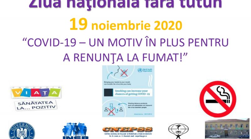 ZNT 20 page