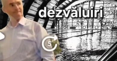 C877363603e42d0dd9032dc3de2eeb7b