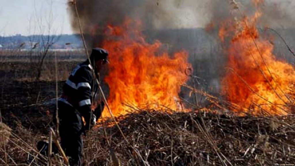 Incendiu vegetatie uscata