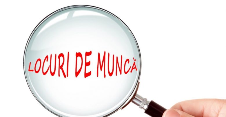 Somaj locuri de munca 780x405